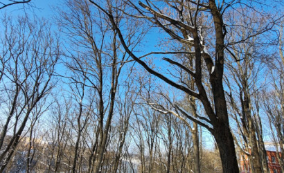 Купить 4-комнатную квартиру, Витебск, Советская, 23. Фото 7