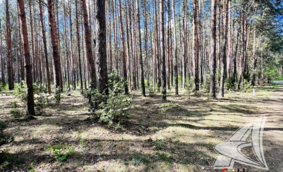 Купить дом, Гули, Мухавецкий с/с, 24.29 соток. Фото 15