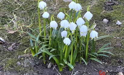 Купить дом в деревне, Павлинка, 11.86 соток. Фото 1