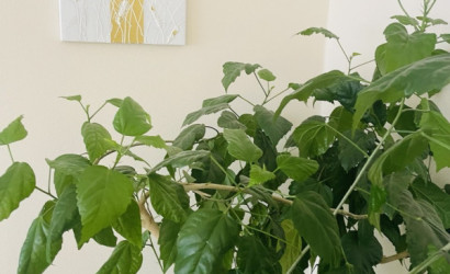 Снять 2-комнатную квартиру на сутки, Новополоцк, Молодёжная 99. Фото 7