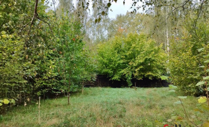 Купить дом, Новые Лыщицы, 23.5 соток. Фото 6