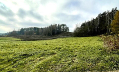 Купить участок, Задомля, 31 соток. Фото 5