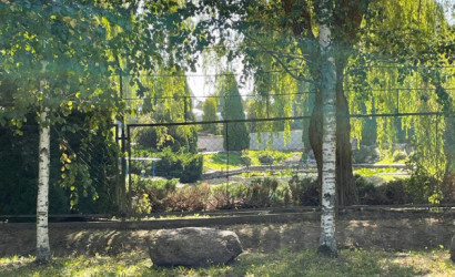 Купить дом, Осиновка, 1-й Осиновский, 3, 24.99 соток. Фото 9