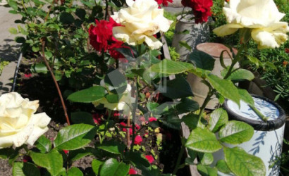 Купить дом в деревне, Шарик, 6 соток. Фото 19