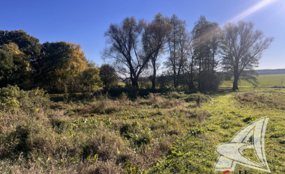 Купить дом, Сычи, Мотыкальский с/с, 23.35 соток. Фото 13