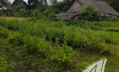 Купить дом в деревне, Худлин, Городецкий с/с, 25 соток. Фото 17