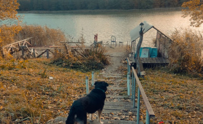 Купить дом, Поземщина, Центральная, 30, 40.7 соток. Фото 2