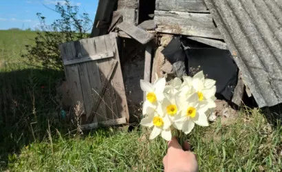  1-этаж.(50 м2), Кухты(Луговая)