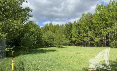 Купить участок, Малые Радваничи, Радваничский с/с, 25 соток. Фото 3