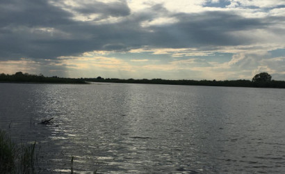 Купить дачу, Волна, 5 соток. Фото 19