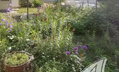 Купить дачу, Брест, Мотыкальский с/с, 5.11 соток. Фото 11