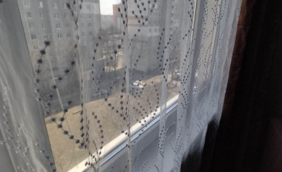 Купить 1-комнатную квартиру, Минск, Жуковского, 6/3 (Октябрьский район). Фото 7