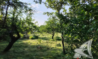 Купить дом в деревне, Чемери 1, Речицкий с/с, 24.62 соток. Фото 8