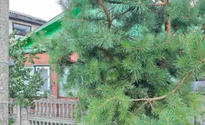  64 м2, Могилев(Актюбинская)