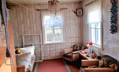 Купить дом в деревне, Сороковщина, Центральная 8, 25 соток. Фото 4