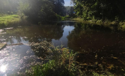 Купить дом, Гаище, 21 соток. Фото 2