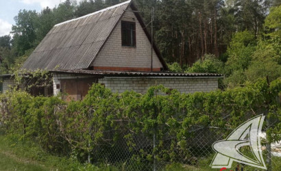 Купить дачу, Брест, Чернавчицкий с/с, 9.82 соток. Фото 3
