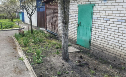 Купить дом, Березино, Пионерская, 7, 9.69 соток. Фото 7