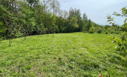 Купить участок, Блужа, 1, 10.63 соток. Фото 6