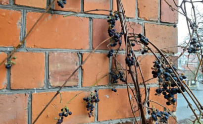 Купить 3-комнатную квартиру, Пинск, Коржа, 23А. Фото 2