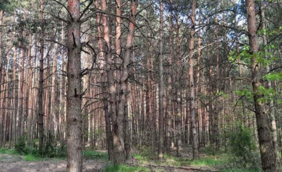 Купить дом, Ветразь-92, 7.01 соток. Фото 6