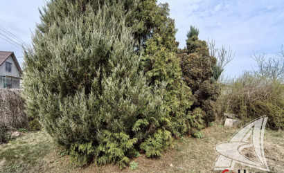 Купить дачу, Брест, Мухавецкий с/с, 5.05 соток. Фото 12