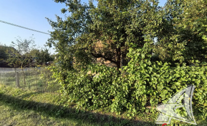 Купить дом, Жабинка, г. Жабинка, 12.18 соток. Фото 11