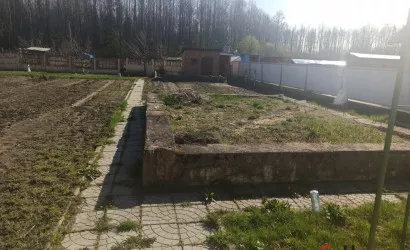  Барсуки(СТ Плисянка)