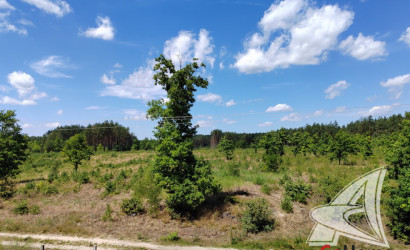 Купить дом, Брест, Знаменский с/с, 6 соток. Фото 11