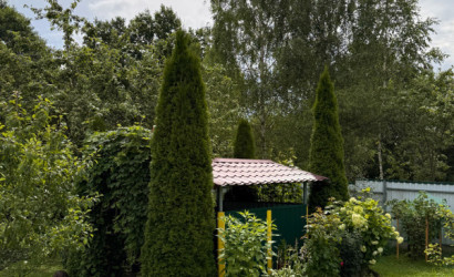 Купить дом в деревне, Слижино, Ул. Центральная, 5, 13.3 соток. Фото 4