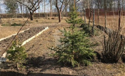 Купить дом в деревне, Здоровье-32, 12 соток. Фото 8