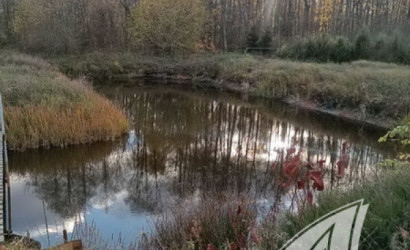 Купить дом в деревне, Горошковка 1, Каменюкский с/с, 25 соток. Фото 35