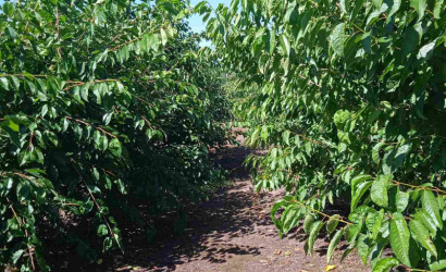 Продажа помещения, Рудка, Советская,  142.4 кв.м.. Фото 9