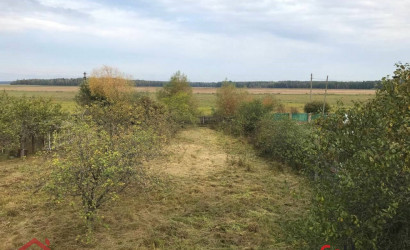 Купить дом, Госьбищи, Центральная, 15.35 соток. Фото 32