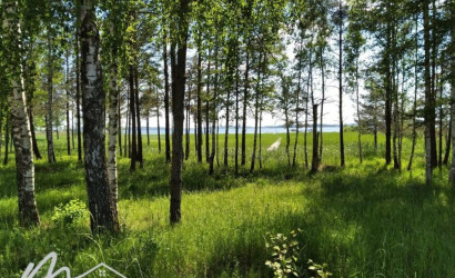 Купить участок, Красногорка, Приозерная ул., 43, 24.66 соток. Фото 1