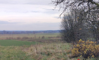 Купить дом в деревне, Кибы, 9, 17 соток. Фото 3