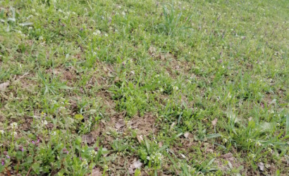 Купить дом, Боровляны, Лесная , 25 соток. Фото 5