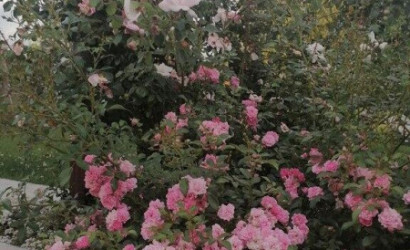 Купить дом, Михановичи, Молодежная ул., 18 соток. Фото 30