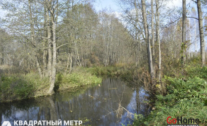 Купить дом, Дуброва, Заречная ул., 25 соток. Фото 4