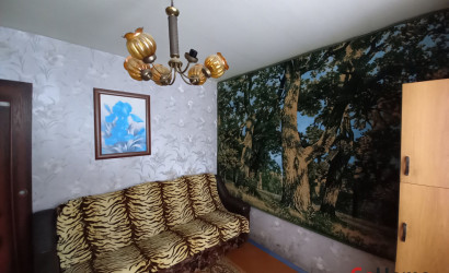 Купить 4-комнатную квартиру, Новополоцк, Молодежная ул., 94. Фото 6