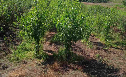 Продажа помещения, Рудка, Советская,  142.4 кв.м.. Фото 15