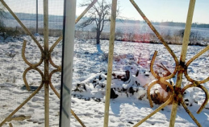 Купить дом, Буяны, Восточная, 25 соток. Фото 16