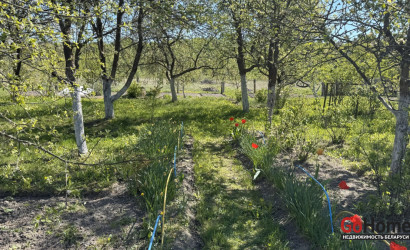 Купить дом в деревне, Малиновка, д. Малиновка, 6, Пуховичский р-н, Минская область, 20 соток. Фото 7