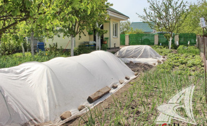 Купить дачу, Брест, Мухавецкий с/с, 4.11 соток. Фото 22