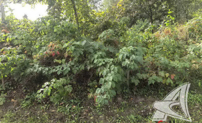 Купить дом, Прилуки Малые, Залесский с/с, 25 соток. Фото 18