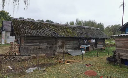  1-этаж.(219 м2), Светлица(Октябрьская 19)