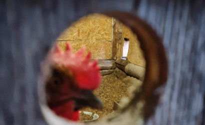 Купить дом, Витебск, 7-я Луческая, 2.5 соток. Фото 10