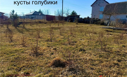 Купить дом, СТ Надзея-1, 20 соток. Фото 9