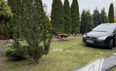 Купить дом, Брест, Центр, 4.08 соток. Фото 28