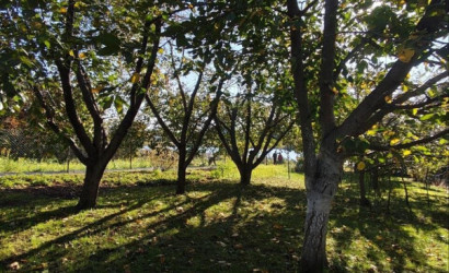 Купить участок, Сеница, Набережная, 4.16 соток. Фото 9